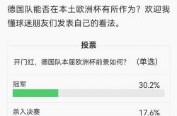 半岛体育娱乐-德国逆袭成功，晋级成为欧洲杯黑马