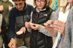 半岛体育官网-危地马拉射击选手精湛表现，登颁奖台的简单介绍