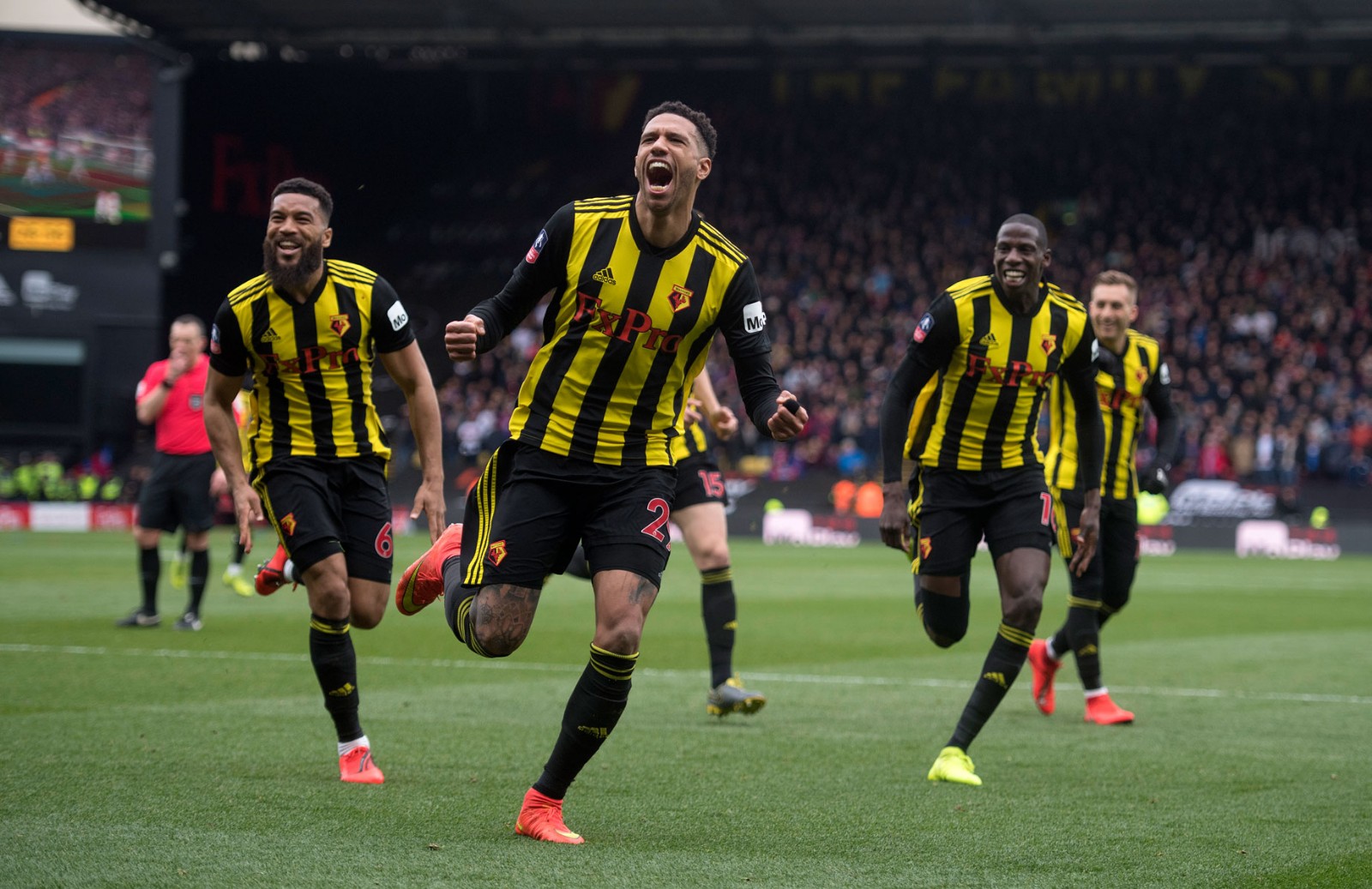 沃特福德客场逆转富勒姆,继续走高的简单介绍 沃特福德客场逆转富勒姆,继续走高的简单介绍