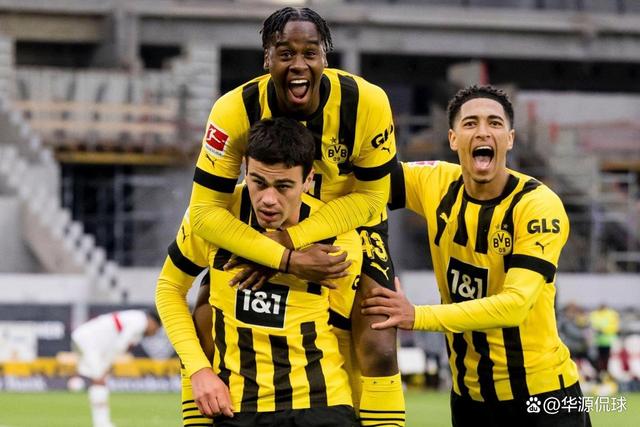 多特蒙德球员公开表态，誓言为球队奋斗的简单介绍